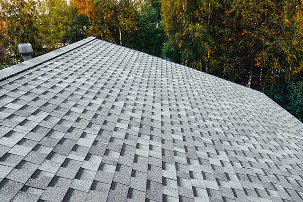 Wind Damage Repair Services